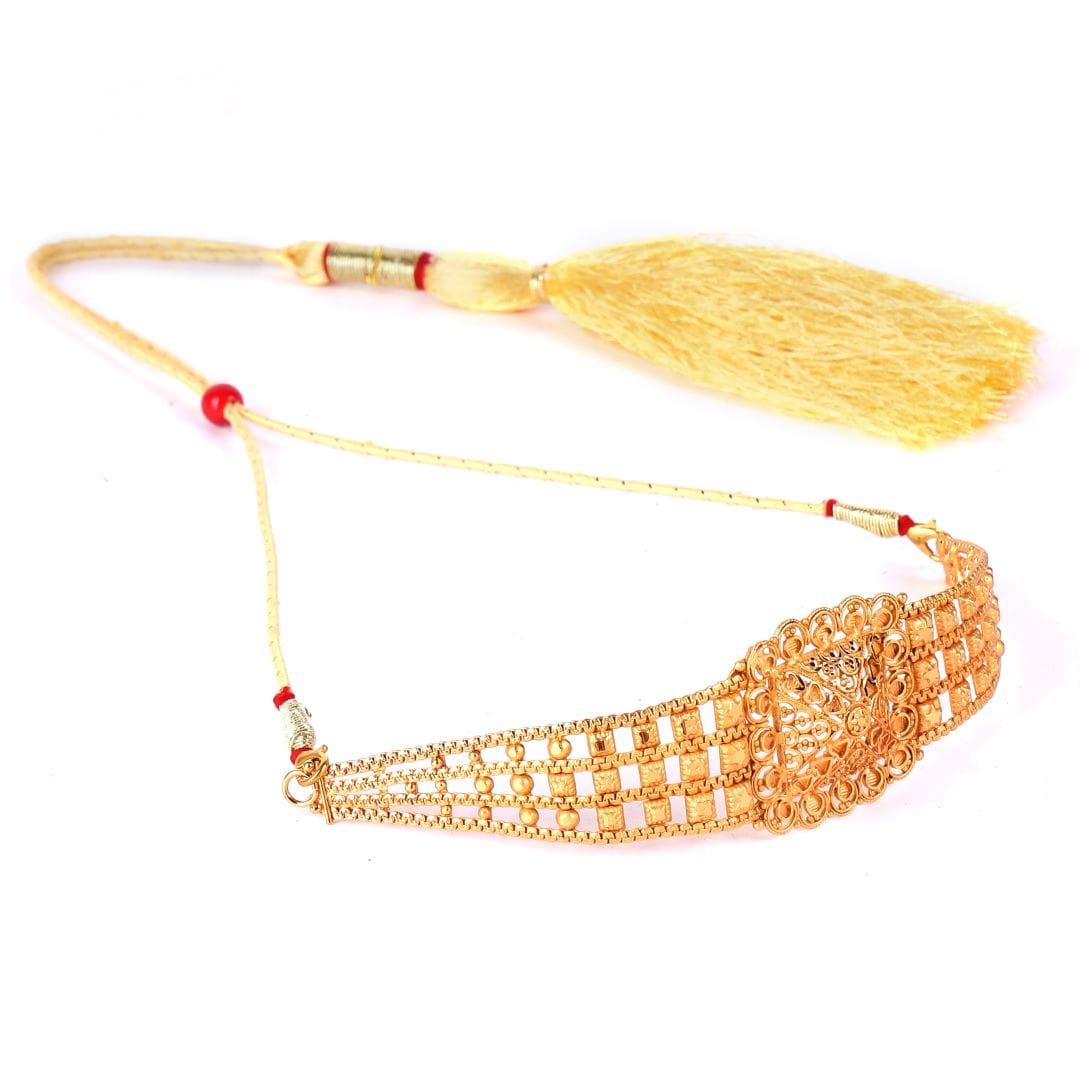 Salankara Creation Designer Chocker with Matching Earring Set